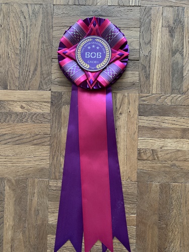 6./7. Sep. 2019 Gradiska/BIH - 4xCAC, 2xCACIB, 3xBOS, 1xBOB -> Champ. SRB & BIH