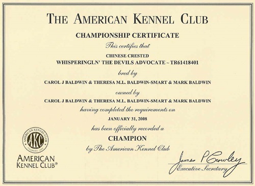 31. Jan. 2008 Champion USA