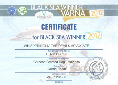 CACIB Varna/BG 24. Juli 2012 - BOB, Black Sea Winner