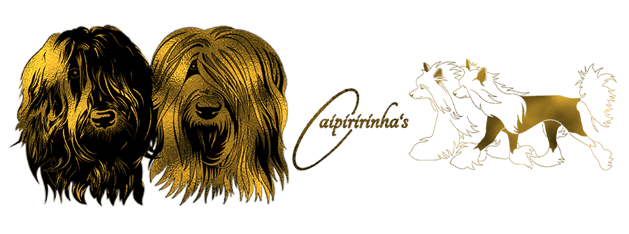 Caipirinha's Caipirinha's