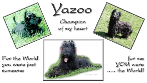 Yazoo