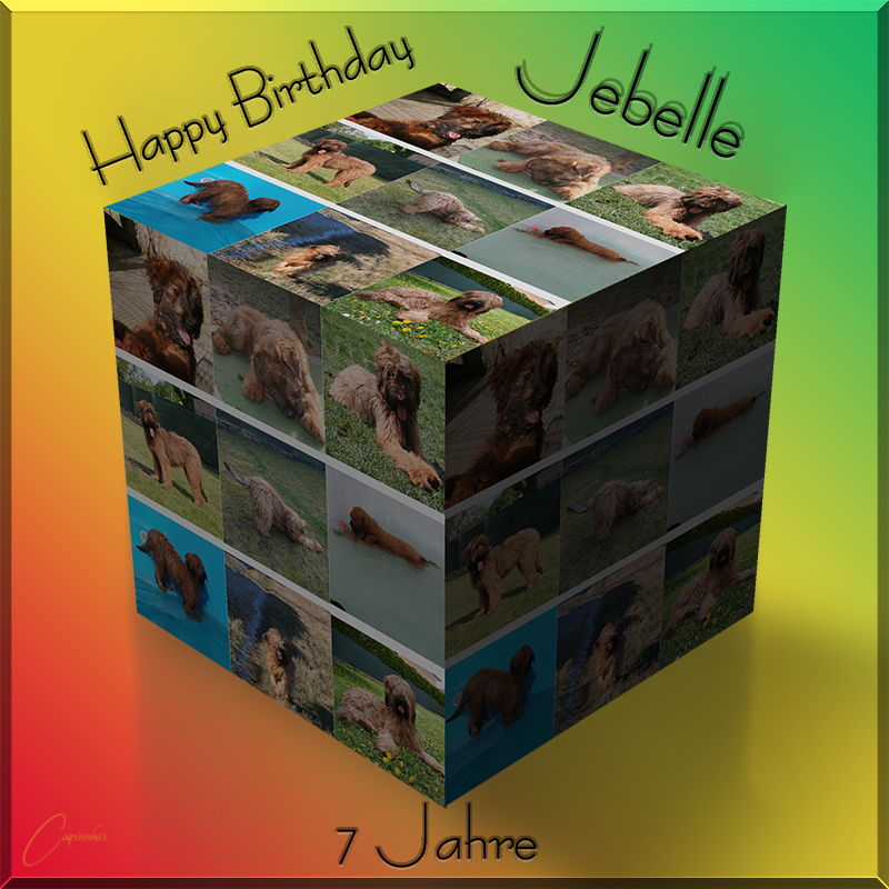 7. Geburtstag Jebelle