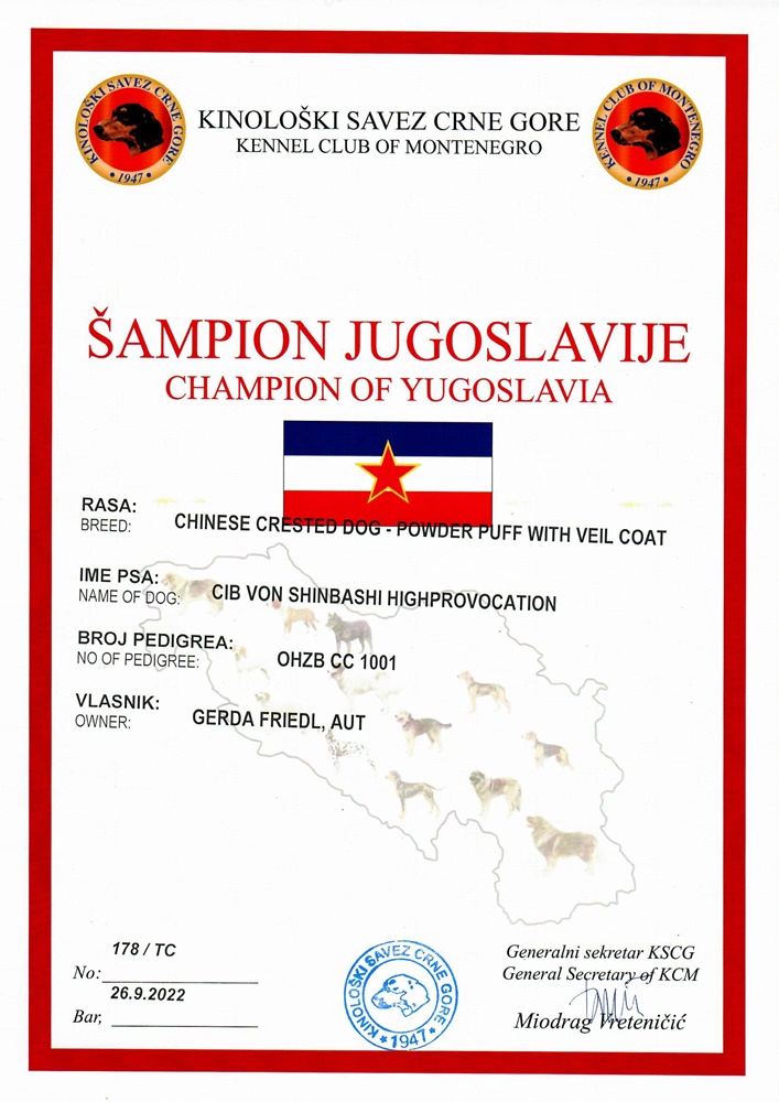 Champion Yugoslavia