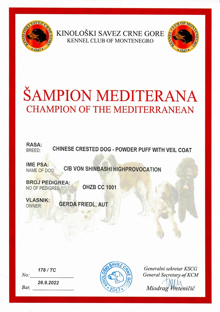 Champion Mediterran