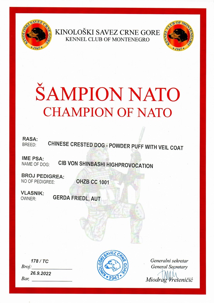 Champion Nato