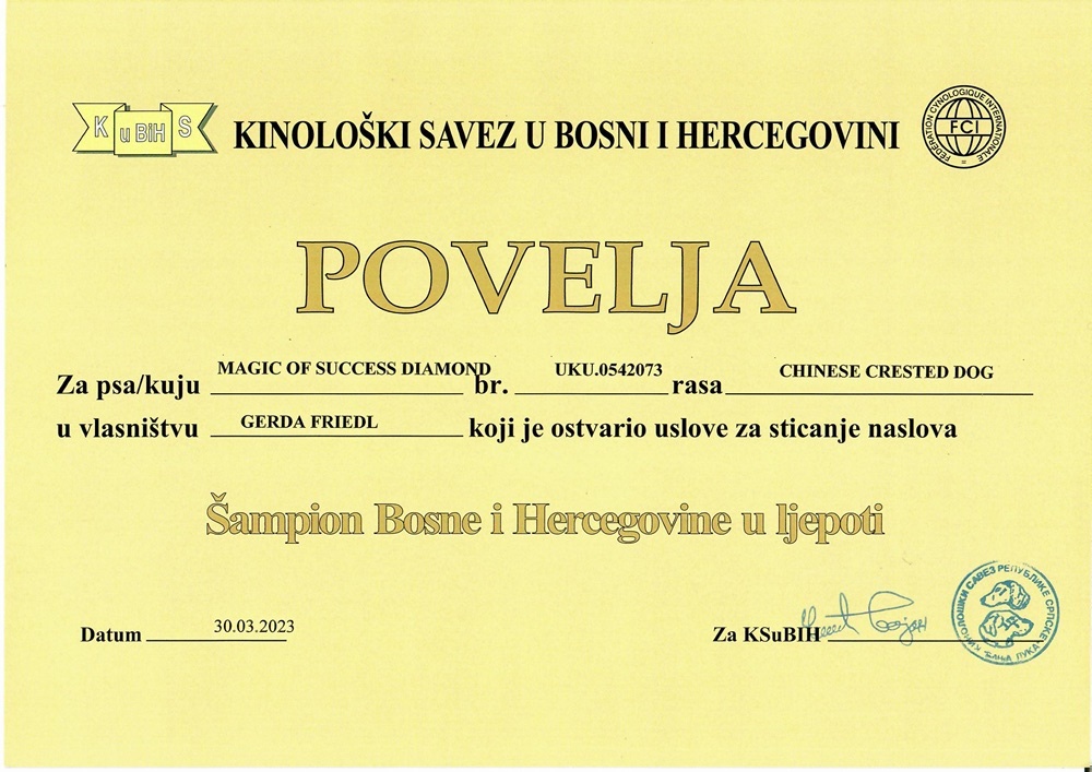 Urkunde Schönheits-Champion Bosnien-Herzegowina