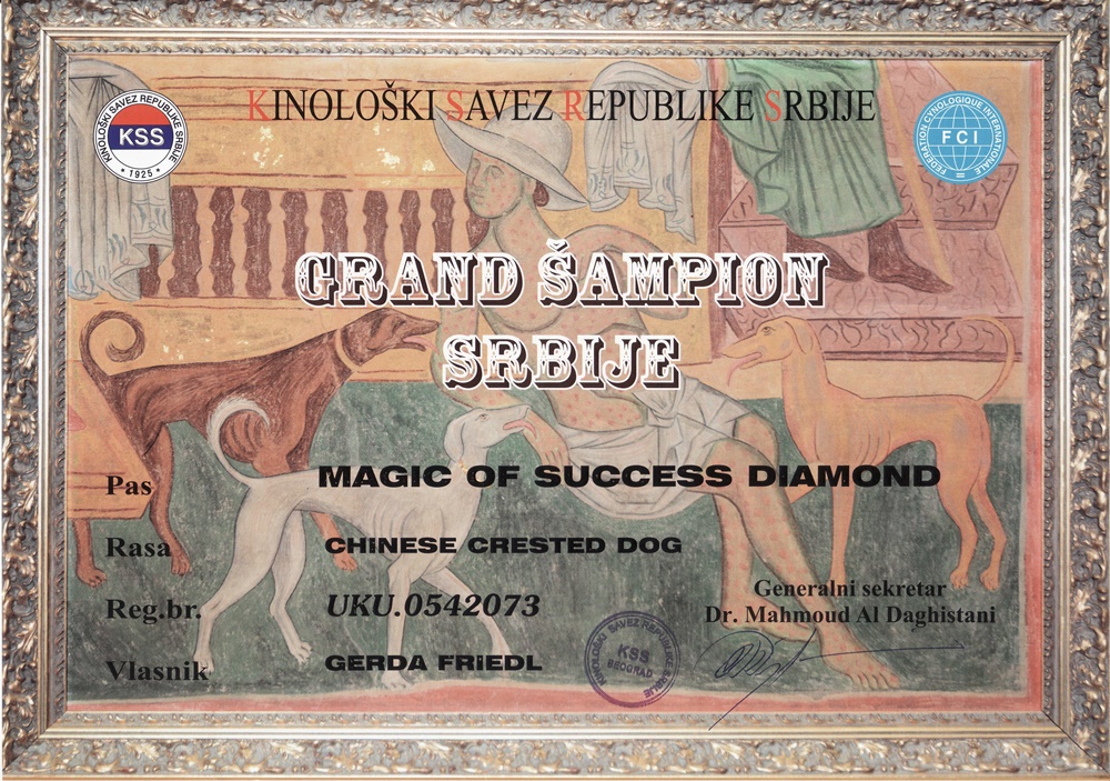 Grand-Champion Serbien