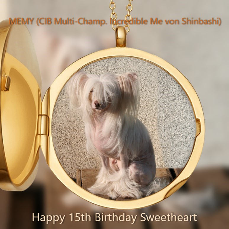 Memy 15. Geburtstag Memy 15. Geburtstag