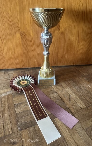 Memy cup HU veteran champion Memy cup HU veteran champion