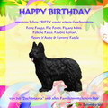 Happy Birthday F-Wurf Happy Birthday F-Wurf