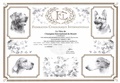 FCI diploma International Beauty Champion