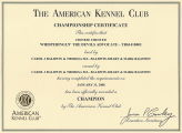 Keanu Urkunde Championat USA Keanu Urkunde Championat USA