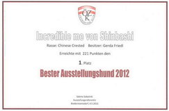 Best Show Dog Toy Breeds Austria 2012 + No. 1 Chinese Crested Austria 2012