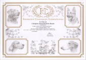 Diploma Ula Interchamp
