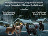Weihnachtsgrüsse Briards Weihnachtsgrüsse Briards