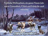 Weihnachtsgrüsse Chinese Crested Weihnachtsgrüsse Chinese Crested