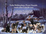 Festtagswünsche 2009 Briards & Chinese Crested Festtagswünsche 2009 Briards & Chinese Crested