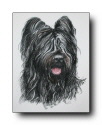 Samson