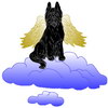 Briard-Engel