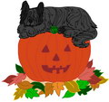 Halloween Briard Halloween Briard