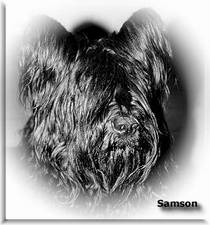 UGO dit Samson de la Morne Plaine