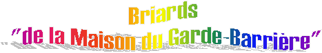 Briards de la Maison du Garde-Barrière