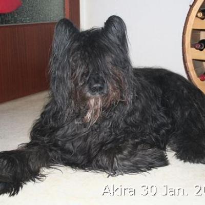 Akira 20070130 03