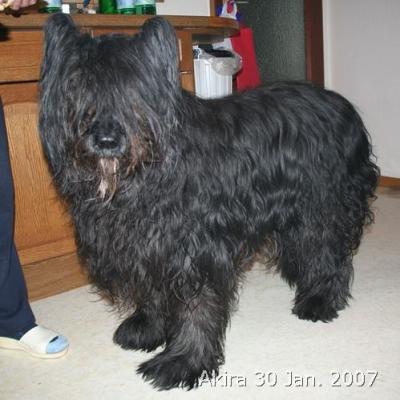 Akira 20070130 11