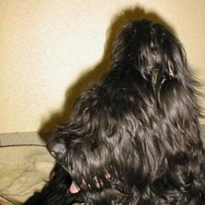 Chaos130