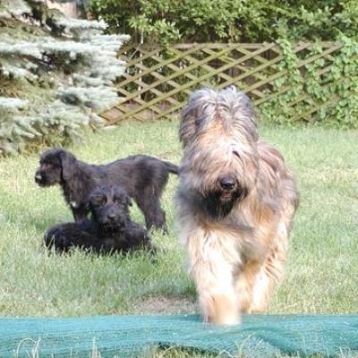 Galaxie Bisou Zabou00260
