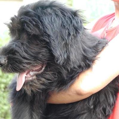 Gus033360