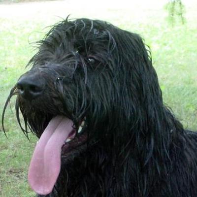 Gus0603 03360