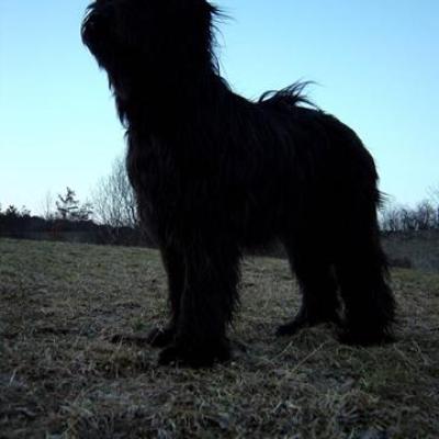 Gus080303 01