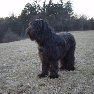Gus080303 03360
