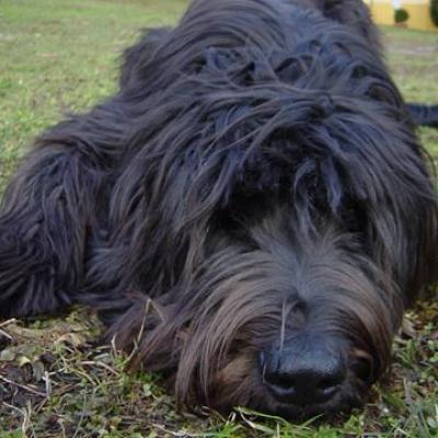 Gus080303 04360
