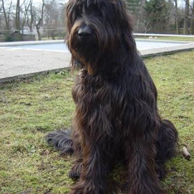 Gus080303 05