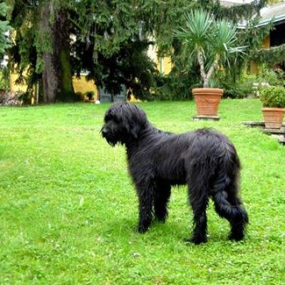 Gus10 2002 02360