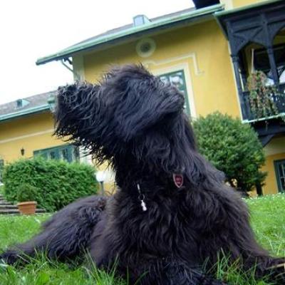 Gus10 2002 05