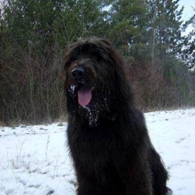 Gustl201203 01