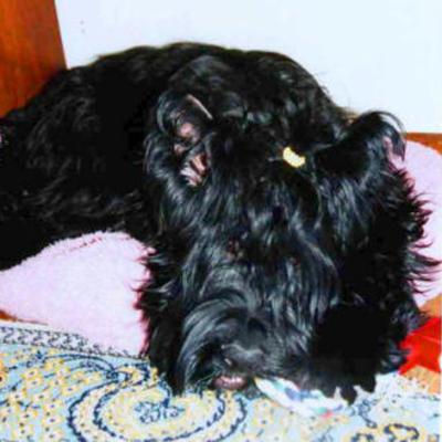 Cou16022000