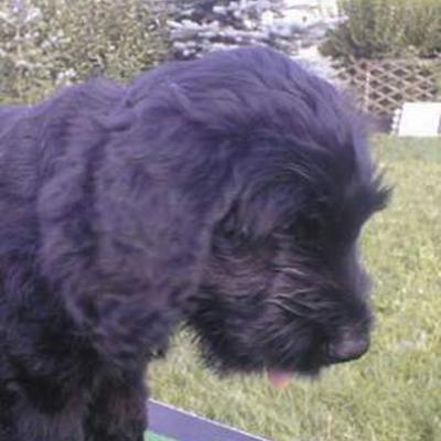 Elninjo005