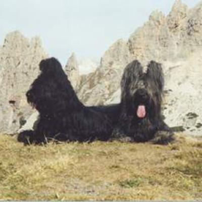 Fleury035