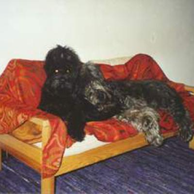 Fleury038