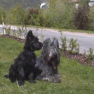 Fleury230401 1