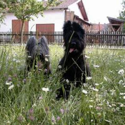 Fleurynoun280501 2