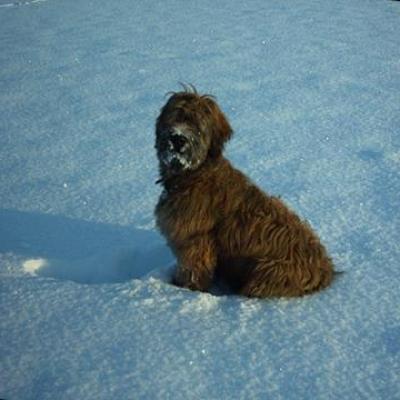 Grisu 20070126 02