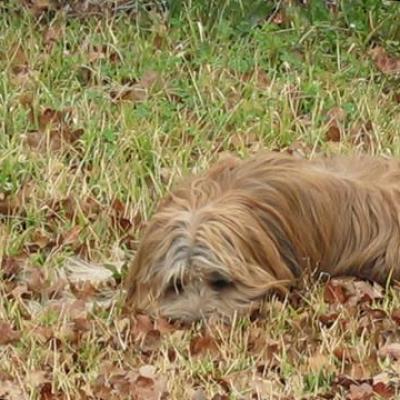 Kita 20090315 09