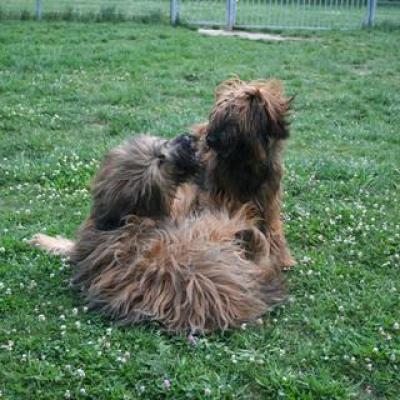 Courage Kiara050