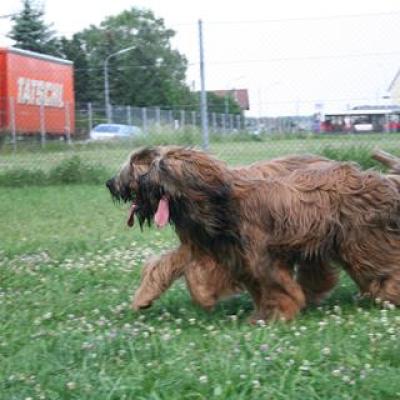 Courage Kiara070