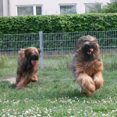 Courage Kiara056